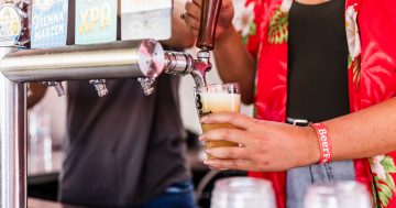 BeerFest coming to Canberra for the first time