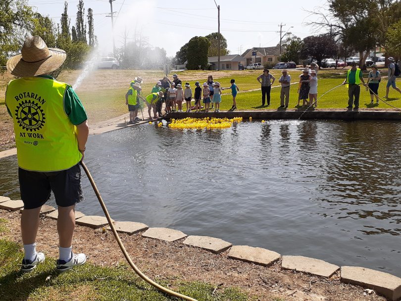 Rubber duck race in Boorowa