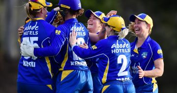 A streak of four home matches for the ACT Meteors starts tomorrow