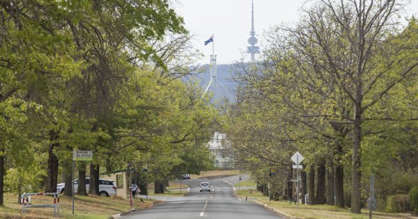 Call for more attention to streetscapes and green spaces post-COVID-19