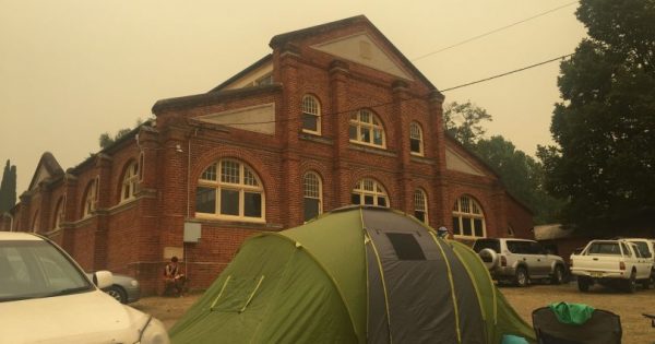 Bega Valley Shire Council begins recovery efforts after bushfire devastation