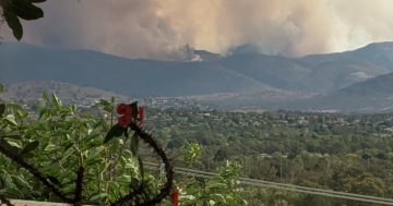 Flames now visible as Orroral Valley fire could spot close to Banks in next few hours