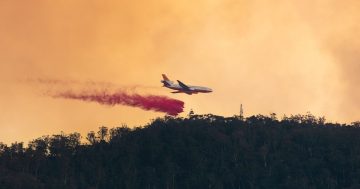 ACT narrowly avoided bidding war for firefighting resources