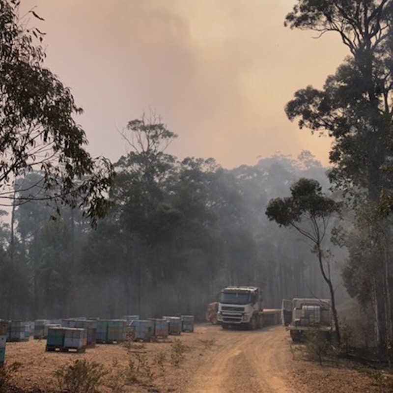 Truck on dirt road as thick smoke descends from bushfire.
