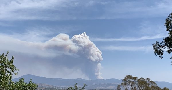 How do bushfires create their own weather patterns?