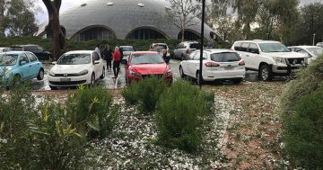 Motorists advised it could take a year to repair hailstorm damage