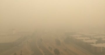 Hazardous bushfire smoke envelops Canberra, baseball called off