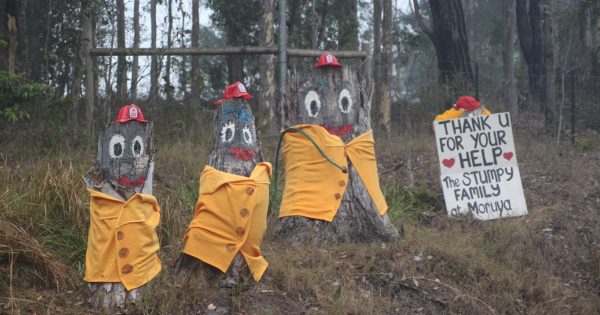 Stumpy Family back to give treemendous thanks to bushfire volunteers