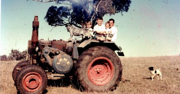 Brothers breathe life into vintage tractors at Wombat