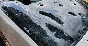 Over $500,000 hail damage rebates paid out as scheme wraps up