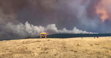 Facing down the mountain fires, and the future, in Tumbarumba