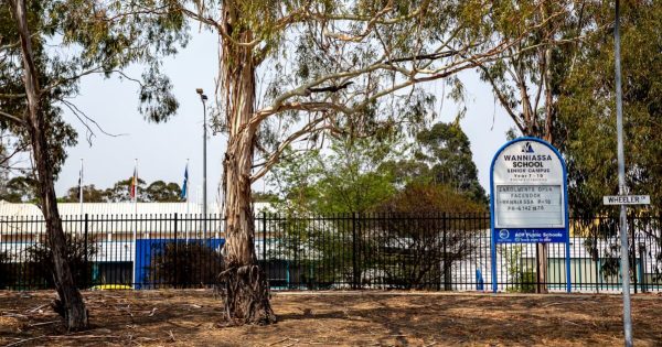 UPDATED: Wanniassa School cluster grows to 26 cases; COVID confirmed at four Tuggeranong school campuses