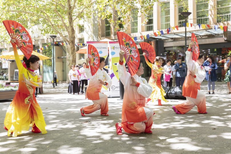 Multicultural Festival launch