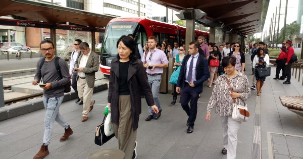 New figures show public transport usage surging in 2020