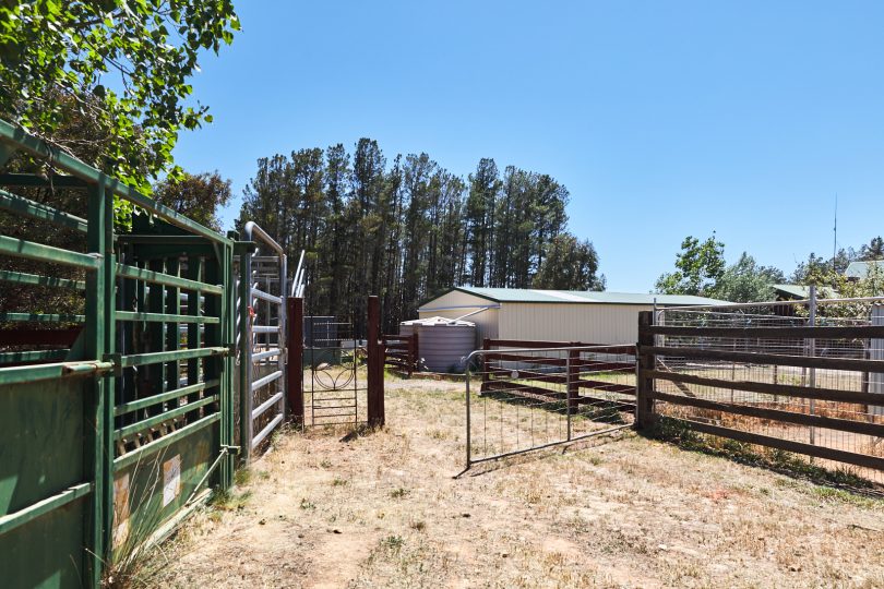 Sheds, yards, crushes, water, fences