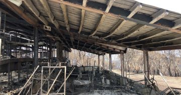 Fire-damaged ski resort Selwyn will not open winter 2020