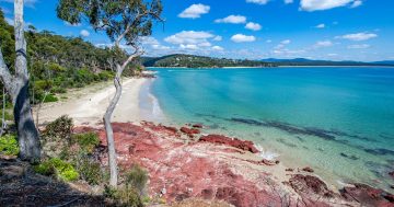 Tourism paradox: the Sapphire Coast needs visitors but fears COVID-19