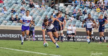 Big weekend for ACT Rugby as Brumbies host double header