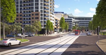 Light rail business roundtables and traffic survey prepare for disruption