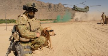 Monument for military dogs unveiled at War Memorial