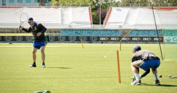 Former Australian and ACT star Brad Haddin says Canberra is ready for a Big Bash team