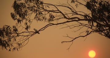 Region warmer and drier than rest of Australia say local weather watchers