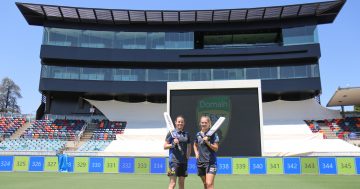 Cricket's best coming to Canberra for T20 glory