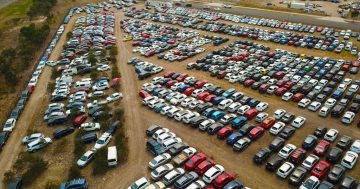 Auction of hail-damaged cars offers bargains but do your research