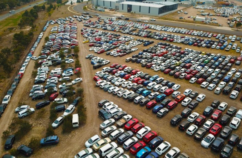 Yard full of hail-damaged cars.