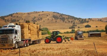 Community spirit as people help out in a bushfire aftermath