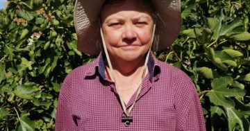 Meet Goulburn's community gardeners growing prize-winning produce