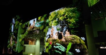 Sydney performance artists to display spectacular digital world on the NGA