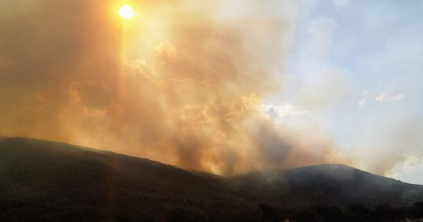 UPDATED: Orroral Valley fire and border fires all downgraded to advice as conditions eased overnight