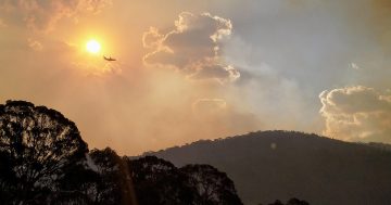 Good news as Orroral Valley fire status downgraded to 'patrol'