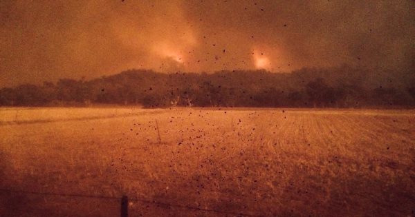 'It was a roar like nothing I had ever heard': The farm that survived fire
