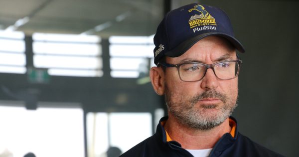 Brumbies coach Dan McKellar has no regrets about turning down the role of Wallabies assistant coach