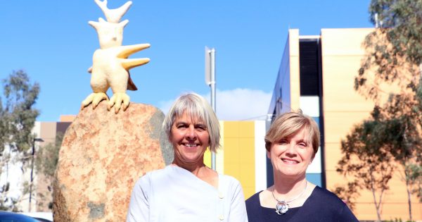 New sculpture marks the way to women's and children's hospital