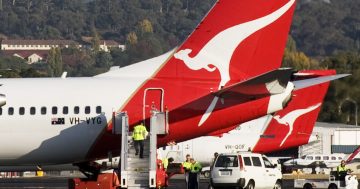 Qantas apologises for 'unacceptably high' rate of cancellations between Canberra and Sydney