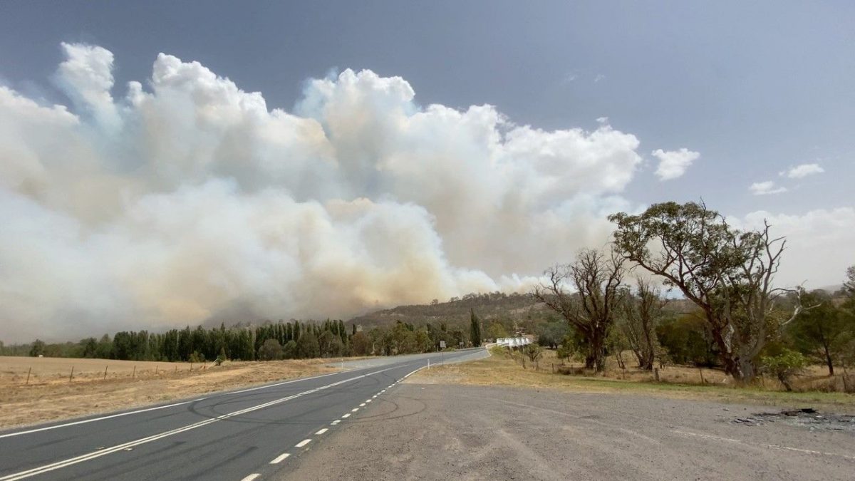 Fire, Smoke, Burning, Orroral Valley fire, Tharwa Bridge