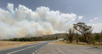 Asthma inhalers, respiratory ED presentations increased dramatically during bushfires: AIHW