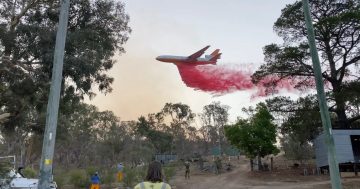 Senate inquiry calls for bushfire fleet, lambasts Commonwealth funding