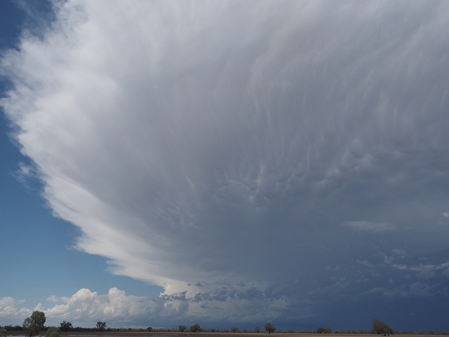 Hail And Thunderstorms On The Horizon Later Today The Riotact