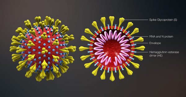 When should I get swabbed for coronavirus? Here's the current criteria for testing