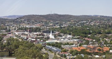 Canberra Day Trips: Discover the wonders of Wagga Wagga