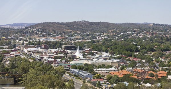 Canberra Day Trips: Discover the wonders of Wagga Wagga