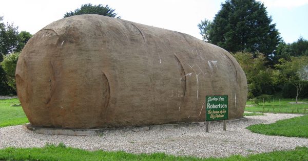 Canberra Day Trips: Robertson – home of the Big Potato and a whole lot more