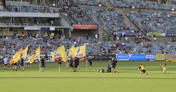 Where are the Brumbies fans? It remains a mystery