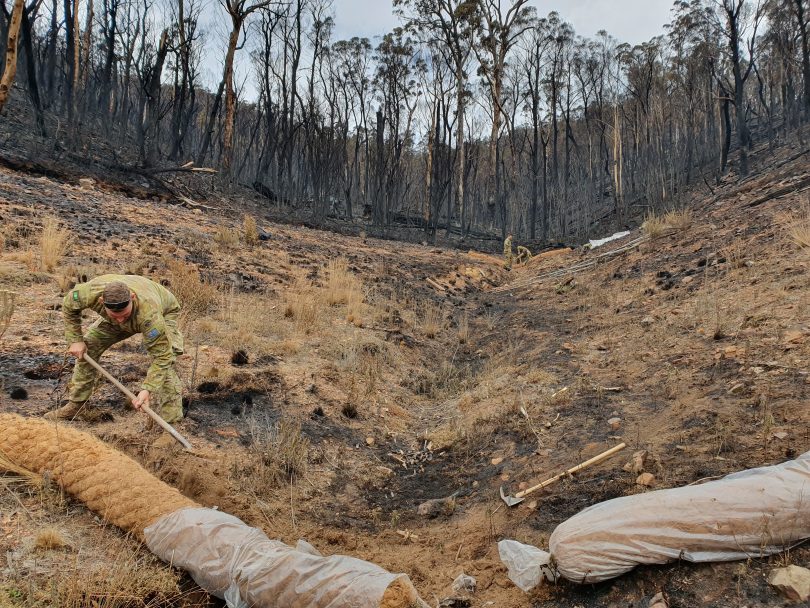 Coir logs to reduce ash and sediment runoff