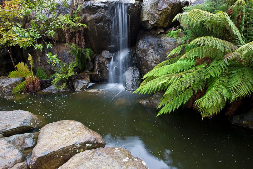 The Australian National Botanic Gardens