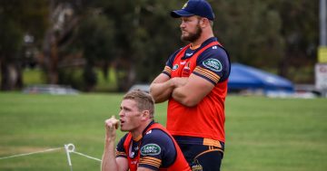 Brumbies in need of traditional rivalry boost